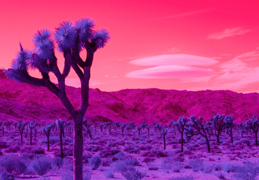 California Seen in Stunning Infrared Photography
