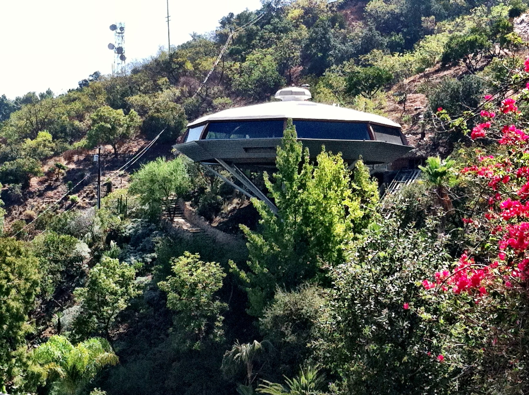 The Chemosphere, an octagonal saucer-shaped house on a single concrete column, seen among trees and pink flowers on a steep hillside in Los Angeles